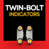 2 motorcycle led indicaors